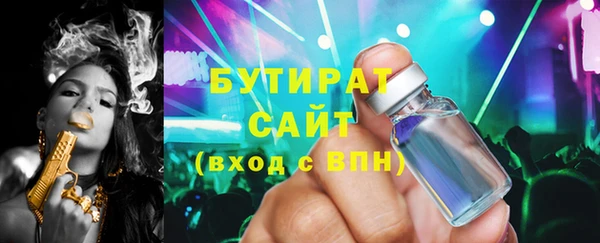 гидра Каменка