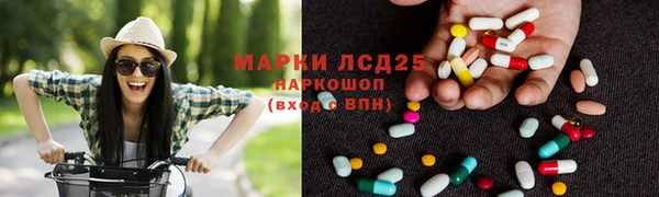 гидра Каменка