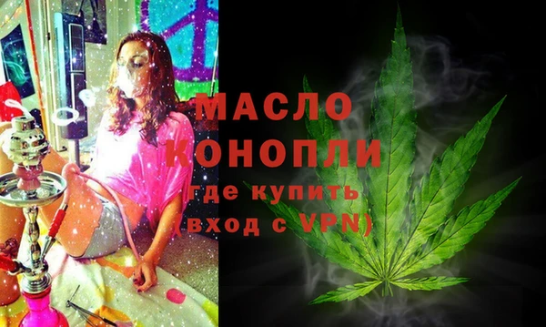 гидра Каменка