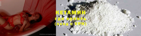 гидра Каменка