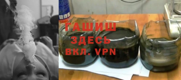 гидра Каменка