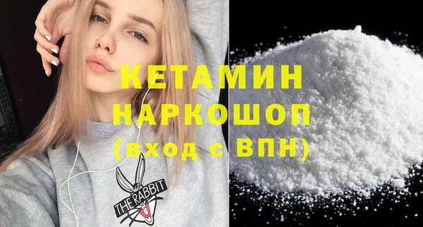 гидра Каменка