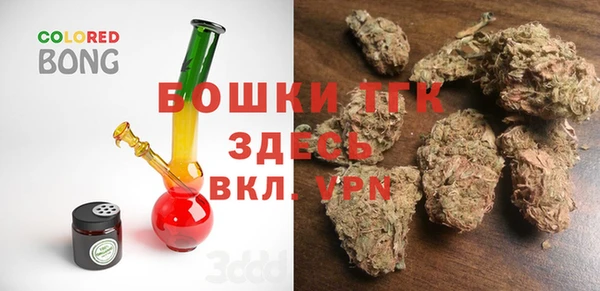 гидра Каменка